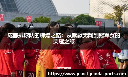 成都排球队的辉煌之路：从默默无闻到冠军赛的荣耀之旅